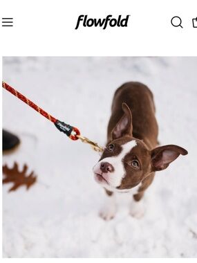 🍦HOST PICK🍦Flowfold Trailmate 4 Foot Dog Leash NWT made in the USA Safety Orange